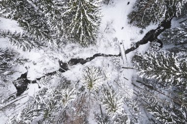 Donmuş ormanın ve soğuk nehrin kışın aşağı manzarası. Ağaçlar karla kaplı ve nehir boyunca köprü, peri masalı manzarası.