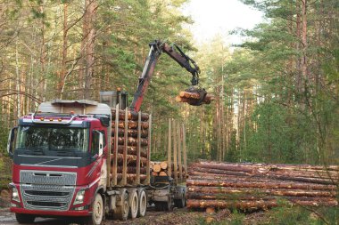 Kırmızı bir tomruk kamyonu ormandaki mekanik bir vinç tarafından kütüklerle dolduruluyor. Görüntü soldaki kamyonu, sağdaki kütükleri ve arka plandaki uzun çam ağaçlarını gösteriyor...