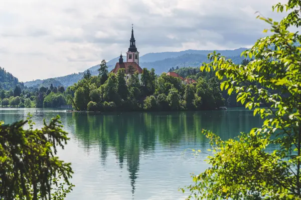 Slovenya 'daki rüya gibi Bled Gölü manzarası çiçek açan kestane ağaçları adanın kilisesini yemyeşil Alp tepelerine karşı çerçeveliyor. Yüksek kalite fotoğraf