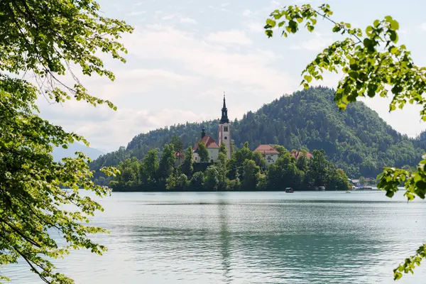 Slovenya 'daki rüya gibi Bled Gölü manzarası çiçek açan kestane ağaçları adanın kilisesini yemyeşil Alp tepelerine karşı çerçeveliyor. Yüksek kalite fotoğraf