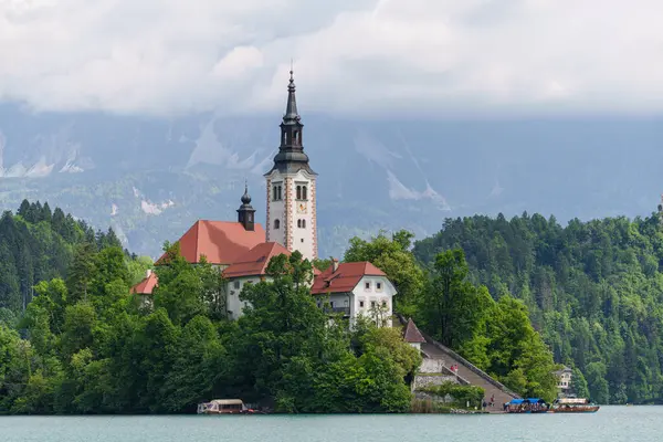 Slovenya 'daki rüya gibi Bled Gölü manzarası çiçek açan kestane ağaçları adanın kilisesini yemyeşil Alp tepelerine karşı çerçeveliyor. Yüksek kalite fotoğraf