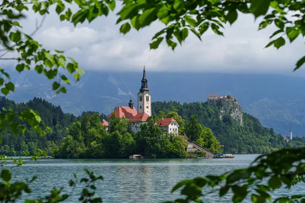 Bled Gölü 'ndeki İkonik Varsayım Kilisesi, ağaçların arasına kurulmuş ve yeşil ağaç yapraklarıyla çerçevelenmiş. Yüksek kalite fotoğraf