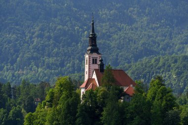  Slovenya 'nın Bled Island şehrinde ormanla çevrili Hüküm Kilisesi' nin yakın görüntüsü. Yüksek kalite fotoğraf
