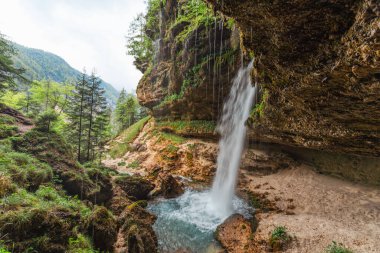 Slovenya 'nın Triglav Ulusal Parkı' ndaki Pericnik Şelalesi 'nin arkasından, yemyeşil orman ve dağ zeminiyle manzarayı izleyin. Yüksek kalite fotoğraf
