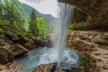 Slovenya 'nın Triglav Ulusal Parkı' ndaki Pericnik Şelalesi 'nin arkasından, yemyeşil orman ve dağ zeminiyle manzarayı izleyin. Yüksek kalite fotoğraf
