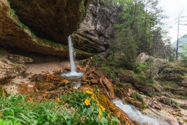 Slovenya 'nın Triglav Ulusal Parkı' ndaki Pericnik Şelalesi manzarası orman, uçurum ve baharda akan akarsularla çevrili. Yüksek kalite fotoğraf
