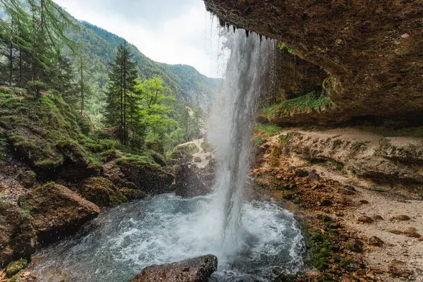 Slovenya 'nın Triglav Ulusal Parkı' ndaki Pericnik Şelalesi 'nin arkasından, yemyeşil orman ve dağ zeminiyle manzarayı izleyin. Yüksek kalite fotoğraf