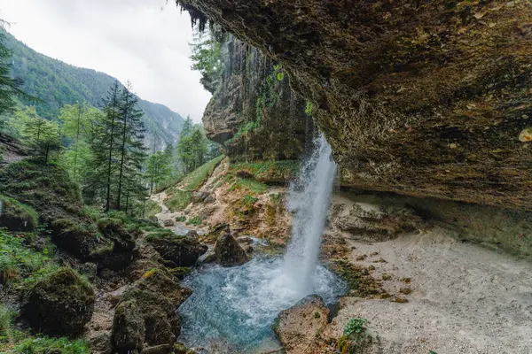 Slovenya 'nın Triglav Ulusal Parkı' ndaki Pericnik Şelalesi 'nin arkasından, yemyeşil orman ve dağ zeminiyle manzarayı izleyin. Yüksek kalite fotoğraf