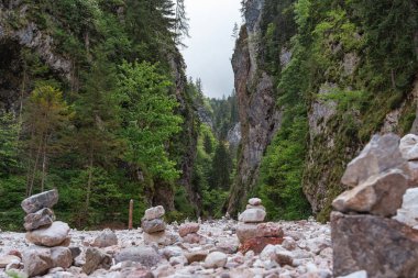 Slovenya 'daki Martuljek Şelaleleri yakınlarındaki kayalık uçurumlar, akan nehir ve yemyeşil orman manzaralı kanyon. Yüksek kalite fotoğraf