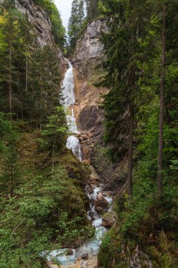Slovenya 'daki Martuljek Şelaleleri yakınlarındaki kayalık uçurumlar, akan nehir ve yemyeşil orman manzaralı kanyon. Yüksek kalite fotoğraf