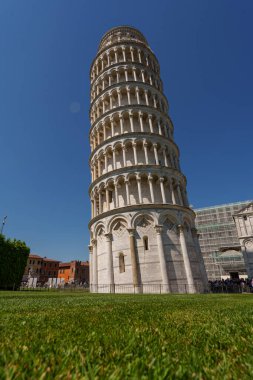 Pisa Kulesi ve Pisa Katedrali Piazza dei Miracoli, Tuscany, İtalya 'da açık mavi gökyüzünün altında. 15 Mayıs 2025