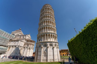 Pisa Kulesi ve Pisa Katedrali Piazza dei Miracoli, Tuscany, İtalya 'da açık mavi gökyüzünün altında. 15 Mayıs 2025