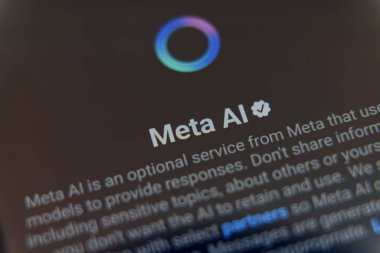 Akıllı telefon ekranında servis tanımı ve renkli logoyla Meta AI karşılama ekranı. Yüksek kalite fotoğraf. 17 Haziran 2025