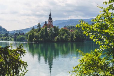 Slovenya 'daki rüya gibi Bled Gölü manzarası çiçek açan kestane ağaçları adanın kilisesini yemyeşil Alp tepelerine karşı çerçeveliyor. Yüksek kalite fotoğraf