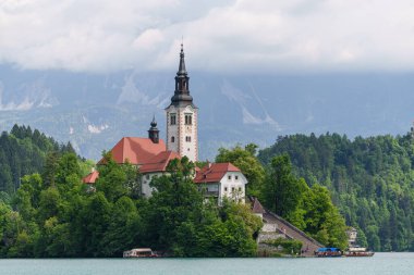 Slovenya 'daki rüya gibi Bled Gölü manzarası çiçek açan kestane ağaçları adanın kilisesini yemyeşil Alp tepelerine karşı çerçeveliyor. Yüksek kalite fotoğraf