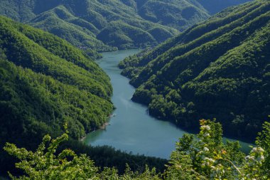 İtalya 'nın Toskana bölgesindeki ApuAlps Bölgesel Doğal Parkı' ndaki yeşil tepelerden geçen Dağ Gölü. Huzurlu yaz doğa manzarası. Yüksek kalite fotoğraf