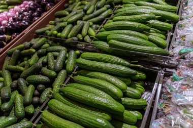 Süpermarket tepsilerinde satılık taze salatalıklar. Yüksek kalite fotoğraf