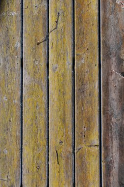 Sarı yeşil ahşap tahtalar ve yosun.