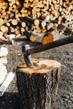 Baltayı kütüğe sapla.