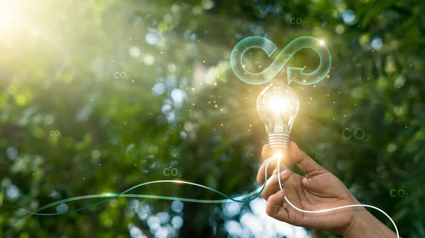 Kreislaufwirtschaft Hand Halten Glühbirne Mit Kreisförmigem Symbol Energieverbrauch Und Co2 — Stockfoto