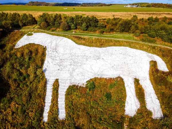 Ένα Λευκό Άλογο Μια Φιγούρα Λόφο Κοπεί Στην Πλαγιά Του — Φωτογραφία Αρχείου
