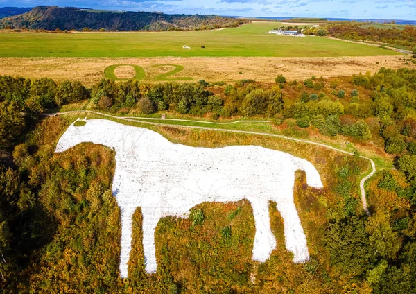Bílý Kůň Postava Kopce Vytesaná Svahu Národním Parku North York — Stock fotografie