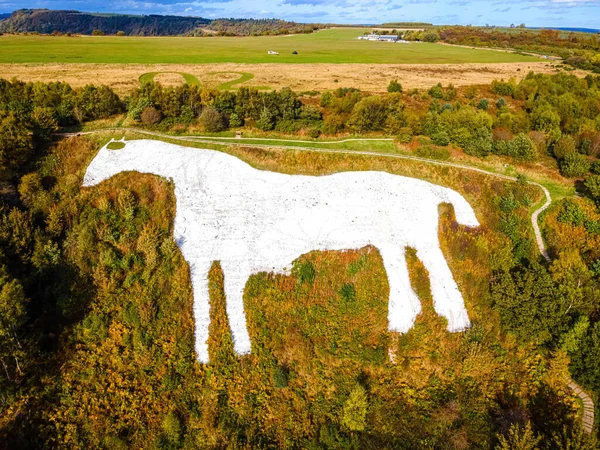 Bílý Kůň Postava Kopce Vytesaná Svahu Národním Parku North York — Stock fotografie