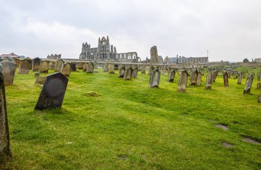 Kuzey Yorkshire, İngiltere 'de Kuzey Denizi' ne bakan Whitby 'nin sabah manzarası.