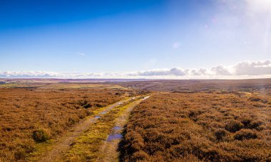 Heather and moorland cross in Yorkshire national park, England, UK clipart