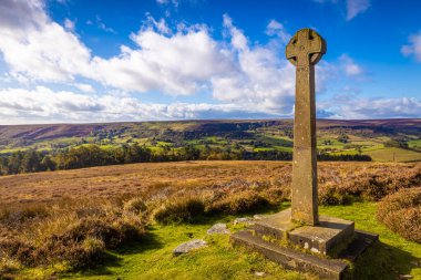 Heather ve Moorland, Yorkshire Ulusal Parkı, İngiltere 'de kesişiyor.