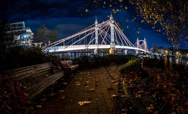 Вид Мост Альберт Морской Парк Мбаппе Рождественское Время Ночью Лондон — стоковое фото