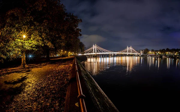 英国伦敦 阿尔贝特桥和巴特海滨公园在圣诞夜晚的景观 — 图库照片