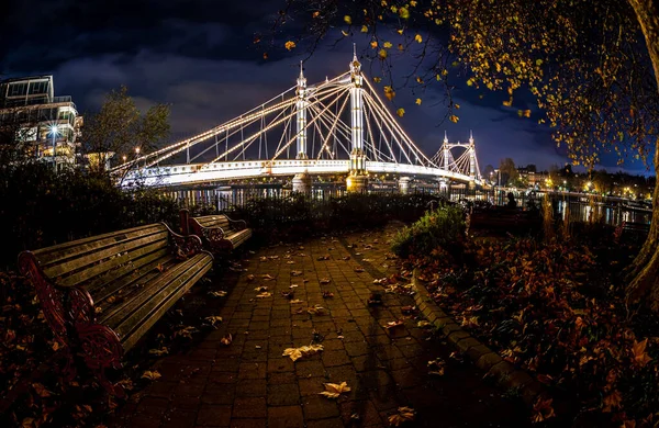 Albert Köprüsü Battersea Parkı Nın Gece Yarısı Görüntüsü Londra Ngiltere — Stok fotoğraf