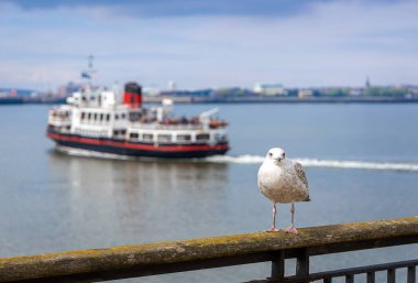 Liverpool 'daki liman manzarası, İngiltere' nin kuzeybatısındaki bir şehir ve metropol ilçesi.