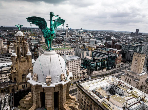 Aerial View Royal Liver Building Grade Listed Building Liverpool England — Stock Photo, Image
