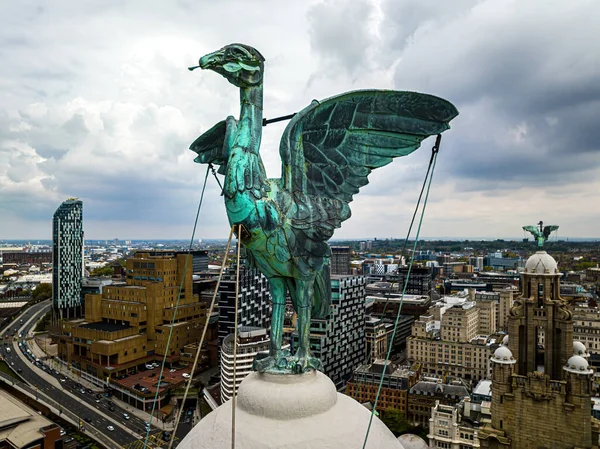 Widok Lotu Ptaka Szczycie Budynku Wątroby Liverpoolu Anglia Wielka Brytania — Zdjęcie stockowe
