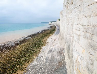 Ticari kampanyalarda seyahat, turizm, doğa ve macera kavramları için ideal İngiltere 'nin ikonik beyaz tebeşir uçurumlarının panoramik görüntüsü.