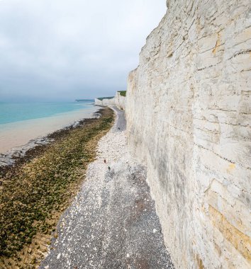 Ticari kampanyalarda seyahat, turizm, doğa ve macera kavramları için ideal İngiltere 'nin ikonik beyaz tebeşir uçurumlarının panoramik görüntüsü.