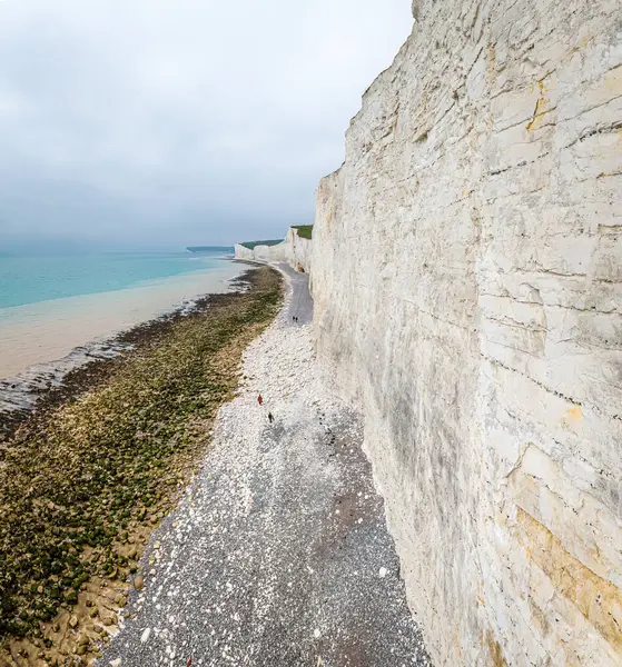 Ticari kampanyalarda seyahat, turizm, doğa ve macera kavramları için ideal İngiltere 'nin ikonik beyaz tebeşir uçurumlarının panoramik görüntüsü.