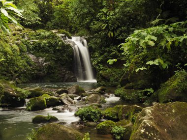 waterfall in a forest of costa rica