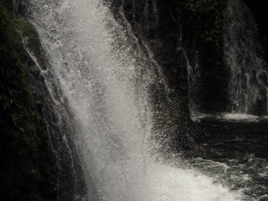waterfall in a forest of costa rica