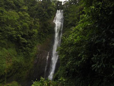 waterfall in a forest of costa rica