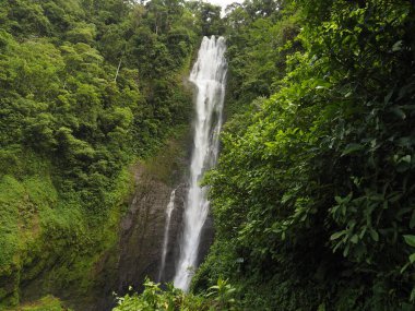 waterfall in a forest of costa rica