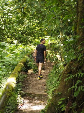 Panama ormanındaki genç adam