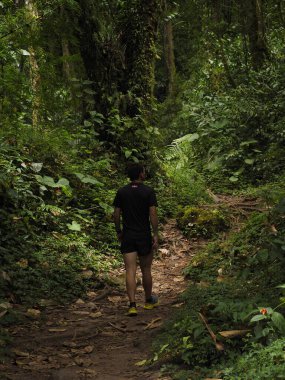 Panama ormanındaki genç adam