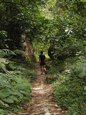 Panama ormanındaki genç adam