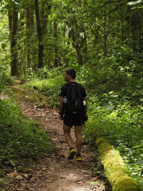 Panama ormanındaki genç adam