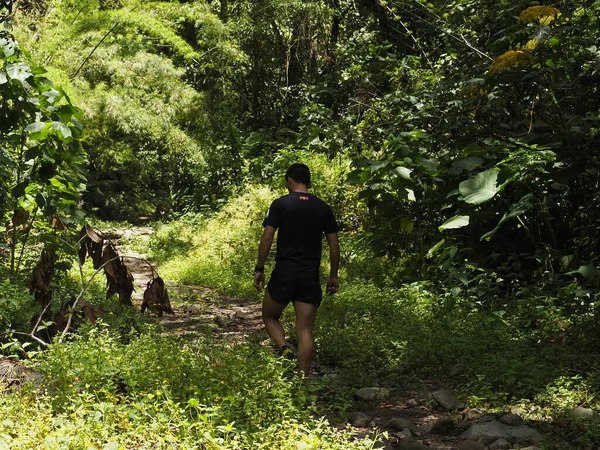 Junger Mann Dschungel Von Panama — Stockfoto