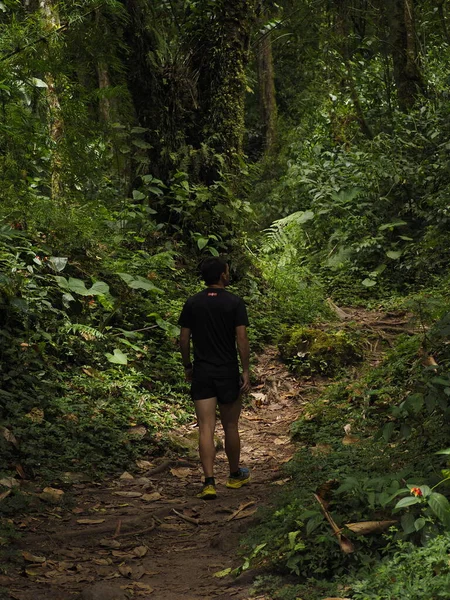 Panama ormanındaki genç adam