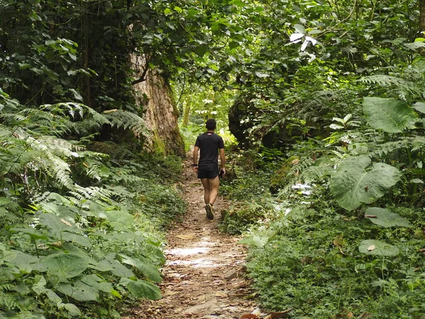 Junger Mann Dschungel Von Panama — Stockfoto